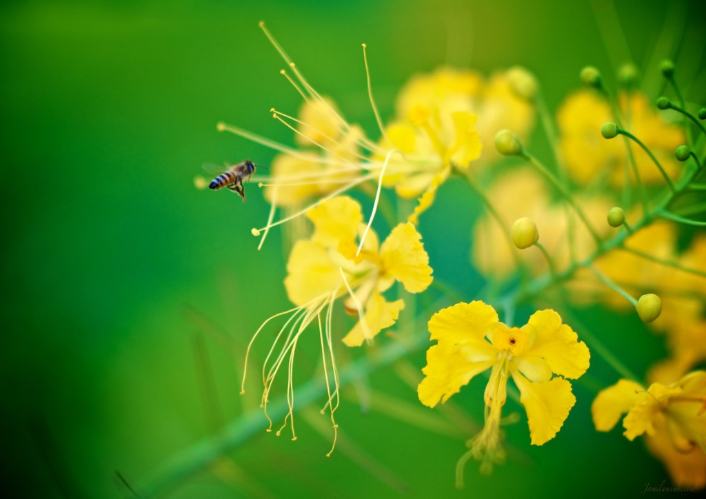 2013-10-14 at 13-09-21