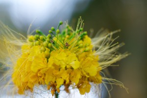 2013-10-14 at 13-08-59