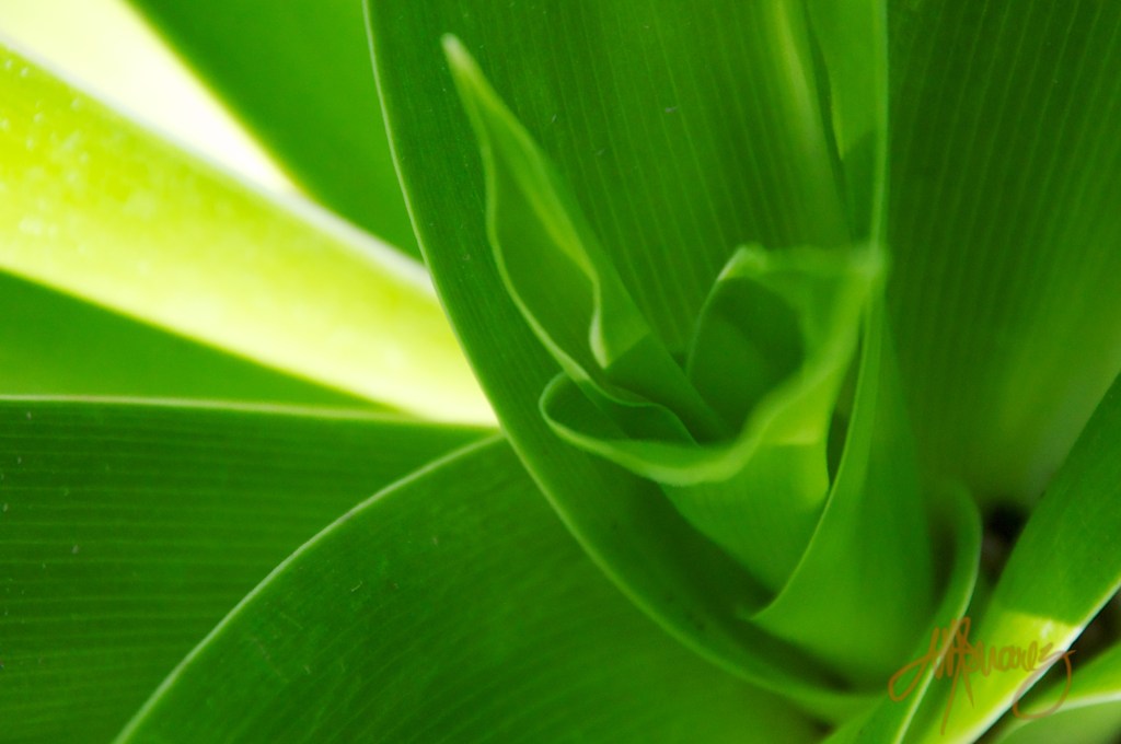 2013-10-16 at 14-38-55