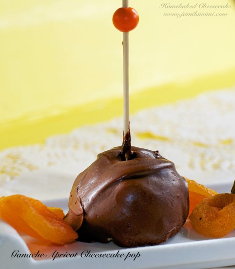 Ganache Cheesecake pop