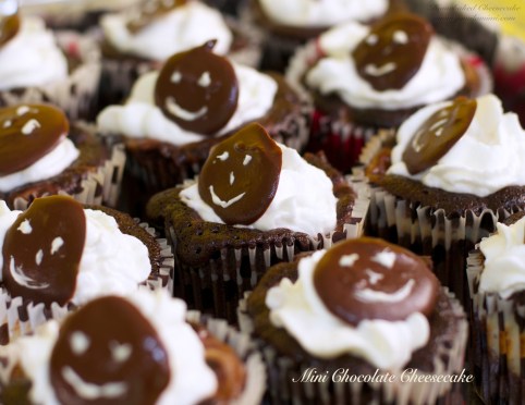 Flavour # 6 Mini Chocolate Cheesecake