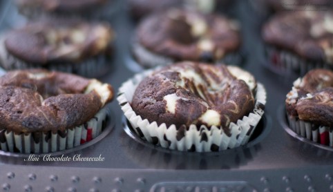 Chocolate swirl with cheesecake