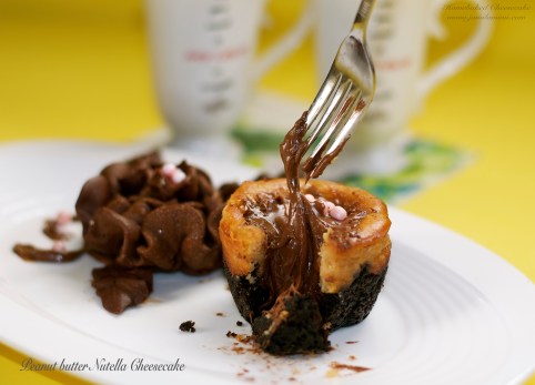 Peanut butter Nutella Cheesecake