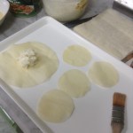 one big circle and 4 small circles of spring roll wrapper