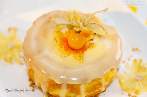 Physalis Pineapple Cheesecake