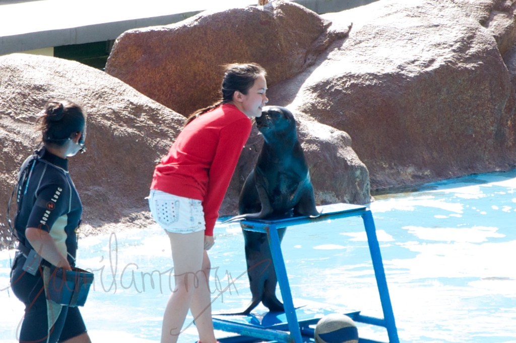 2014-04-17 at 15-19-47