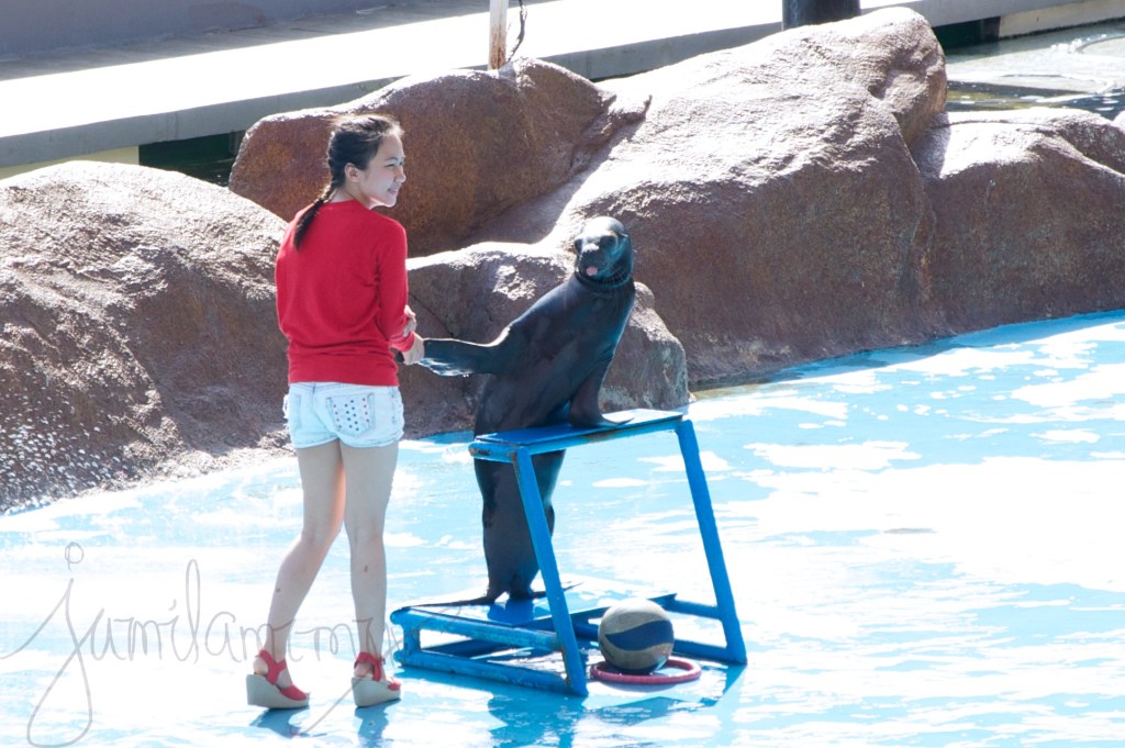 2014-04-17 at 15-17-36