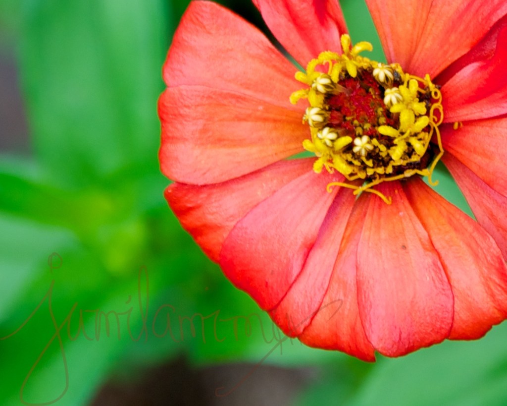 2014-04-12 at 08-12-12