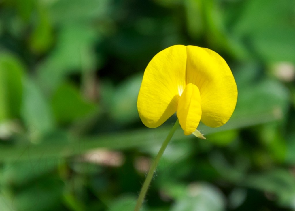 2014-04-10 at 09-04-55