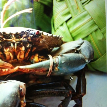  photo credit: experience Catanduanes