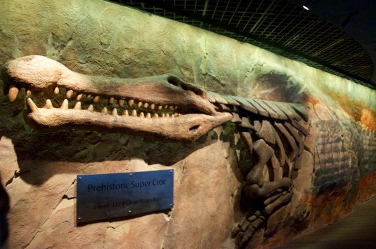 2014-11-16 at 22-32-39