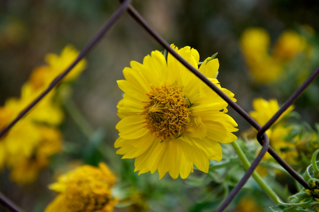 2015-01-09 at 17-03-53