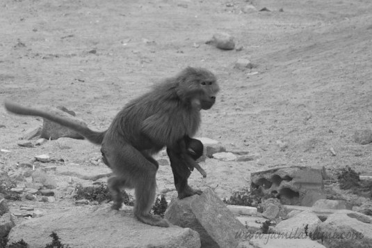 2015-01-09 at 17-51-59