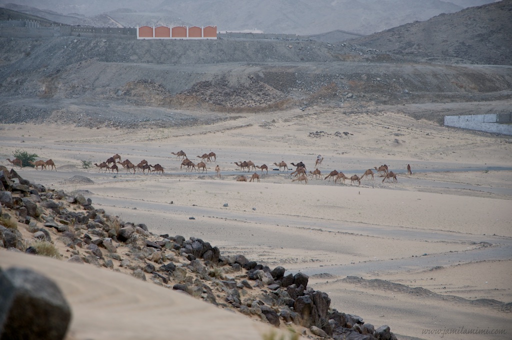 2015-01-09 at 13-49-25