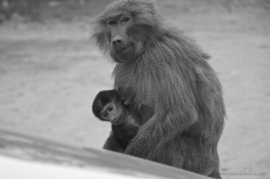 2015-01-09 at 17-55-34