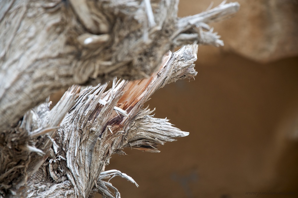 2015-01-09 at 16-47-14