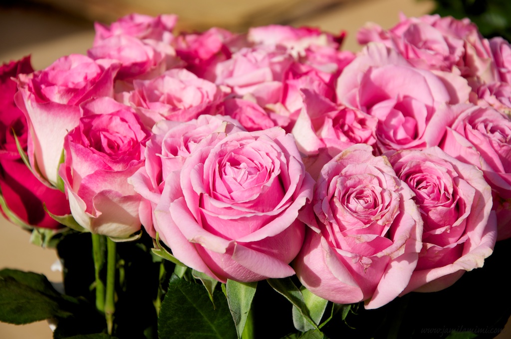 2015-02-27 at 21-16-50