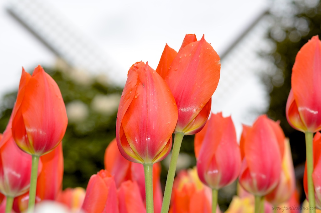 2013-04-28 at 10-17-14