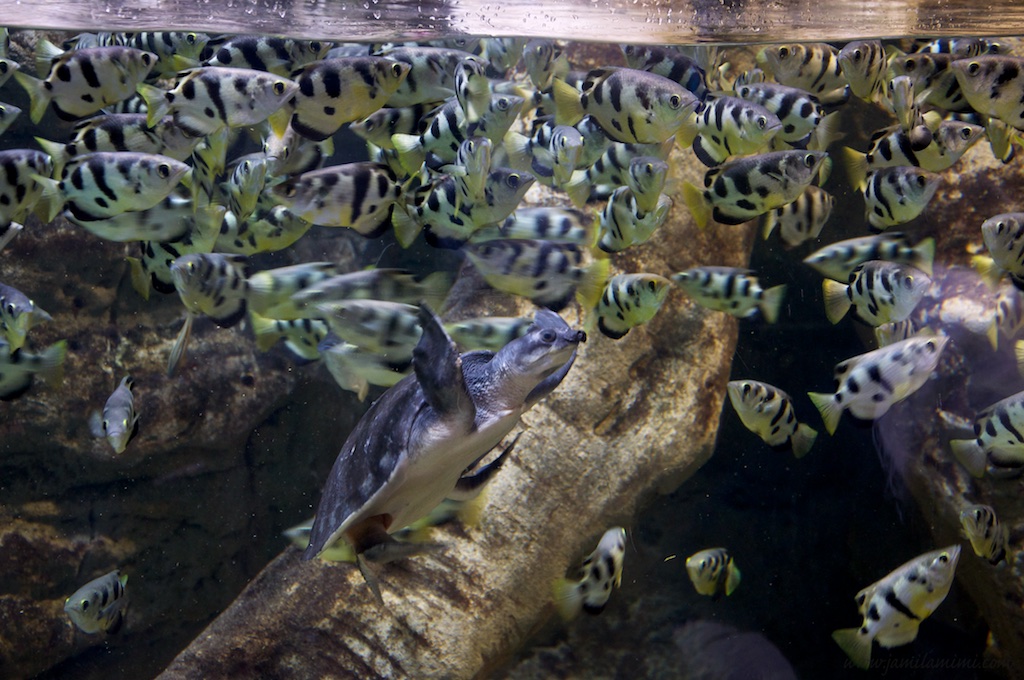 2014-11-16 at 22-10-37