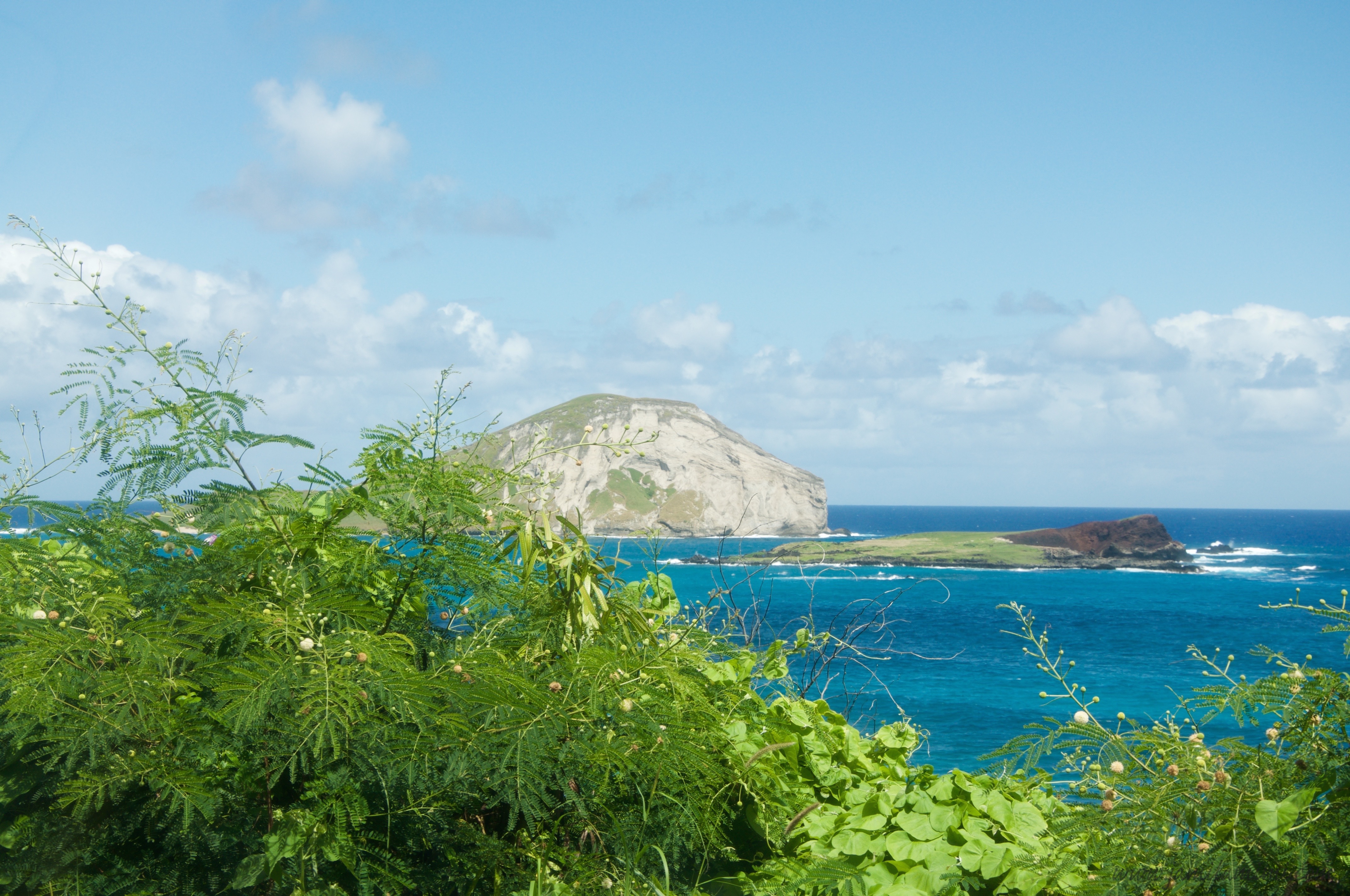 2015-10-08 at 06-04-55