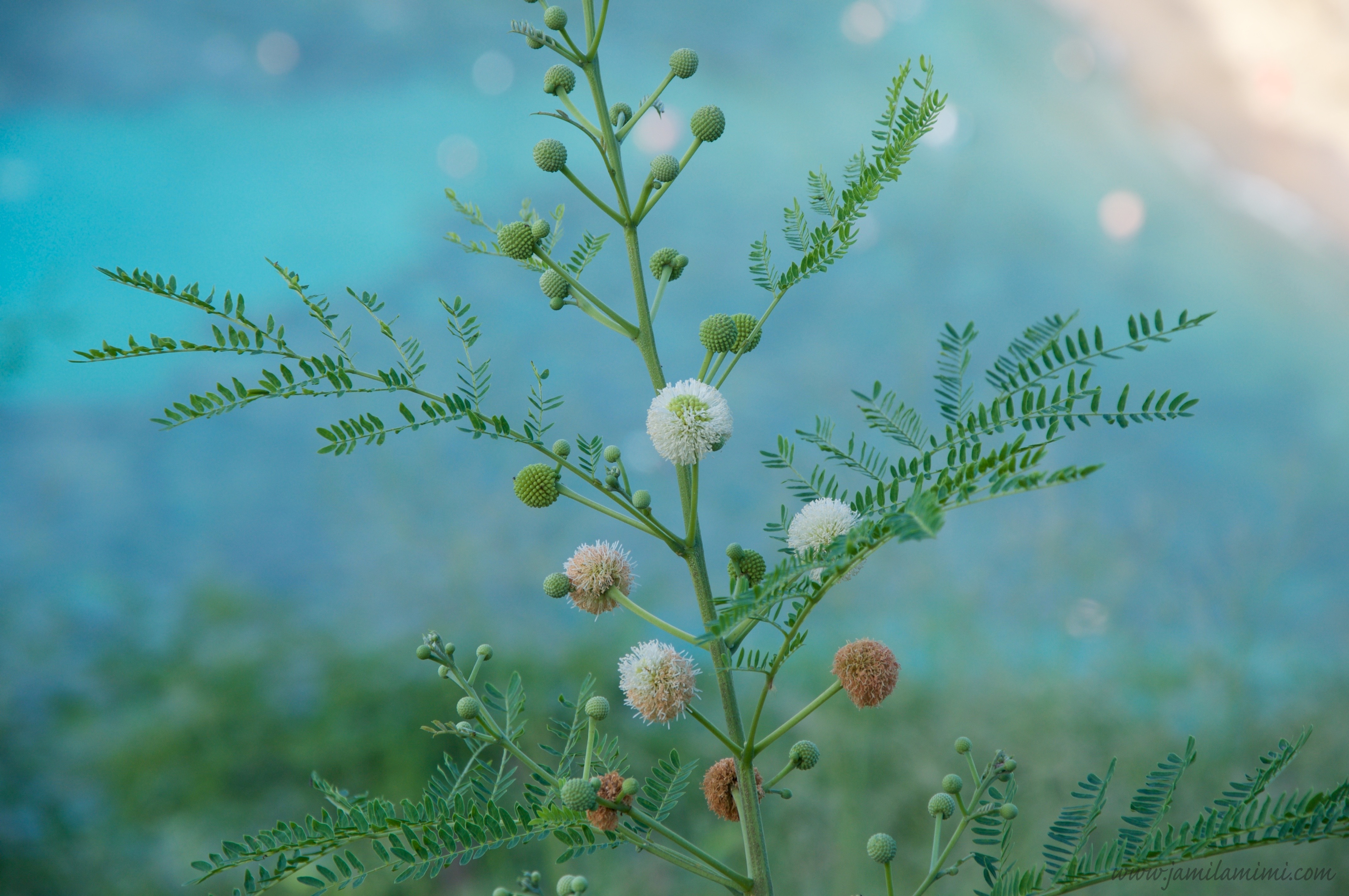 2015-10-03 at 01-37-56