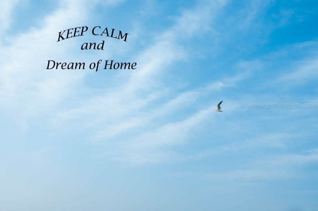 Weekly Photo Challenge: Harmony