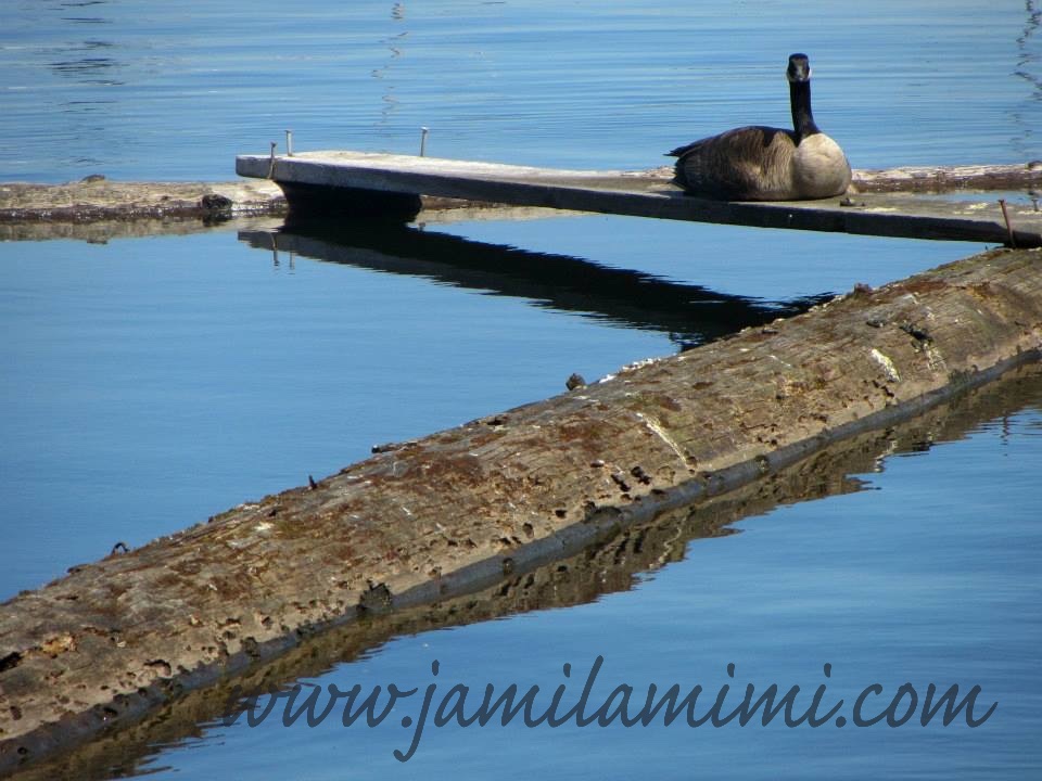 2013-06-11-at-21-23-44