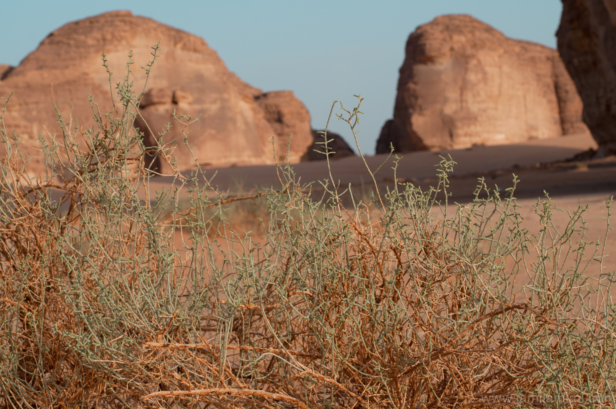 elephantrock2017-1-17
