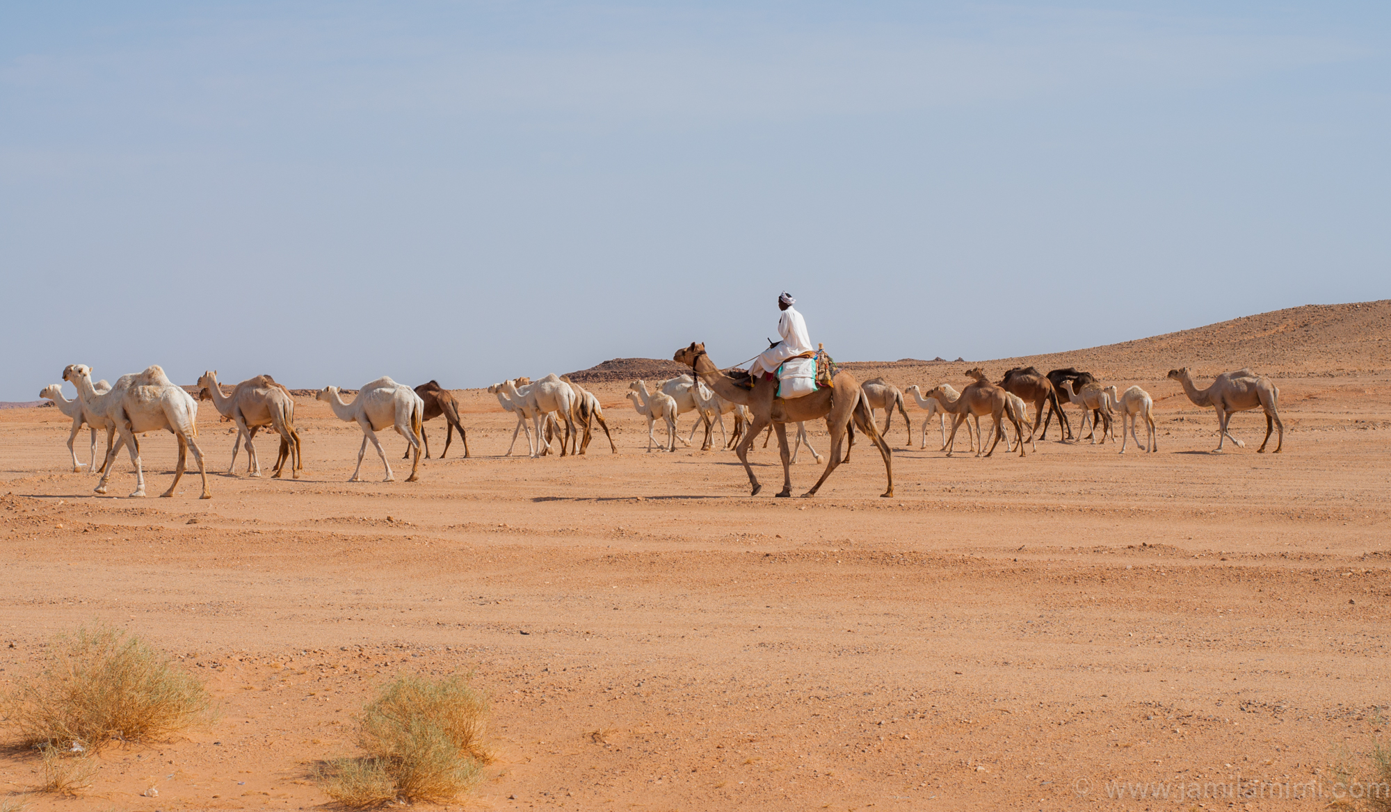 elephantrock2017-1-26