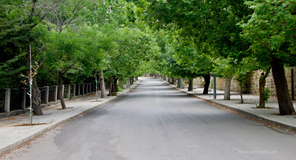 10 days in Lebanon (day 9) walk through the woods of&nbsp;Taanayel