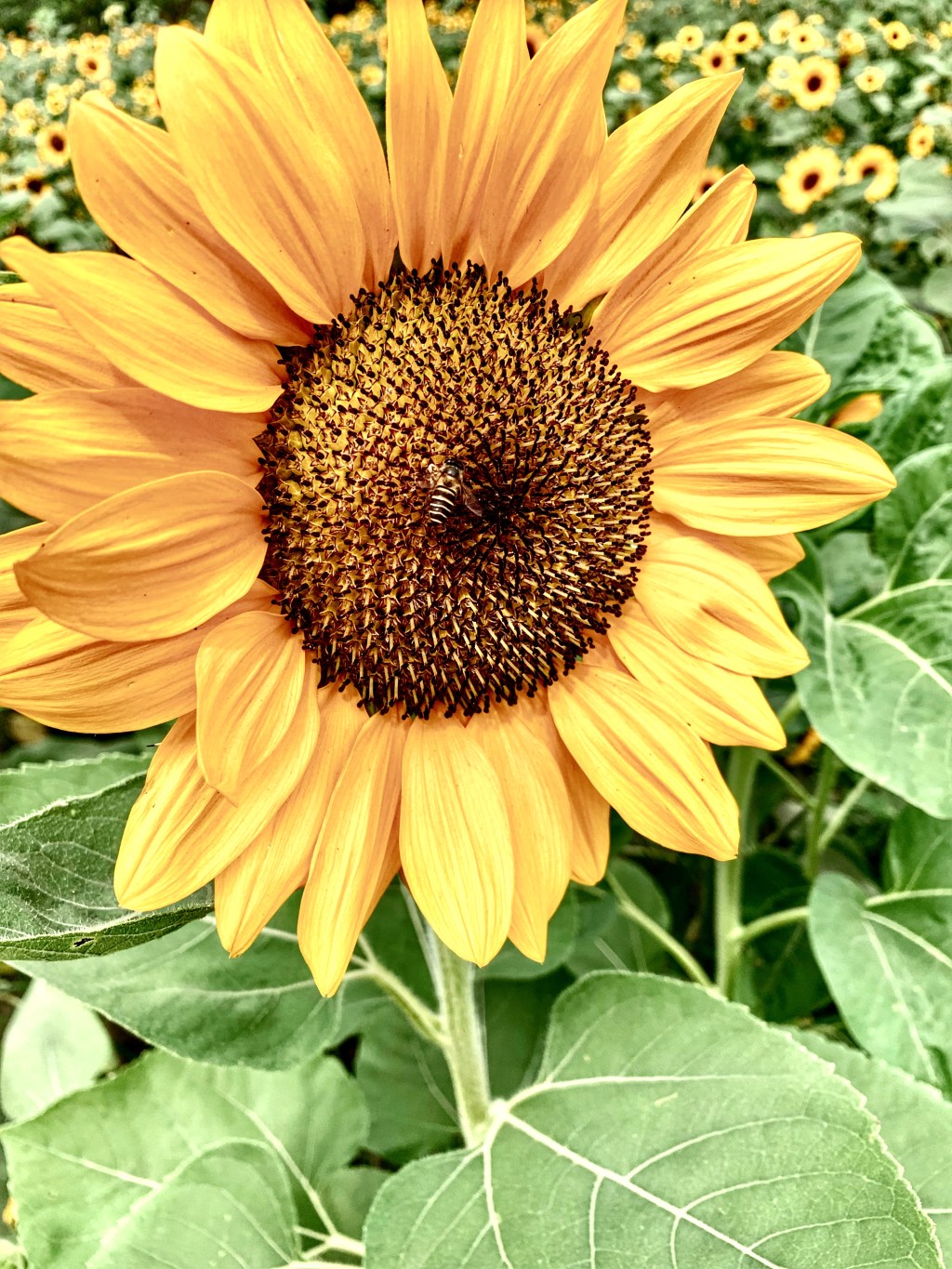 Beautybeyondfifty on going&nbsp;back..