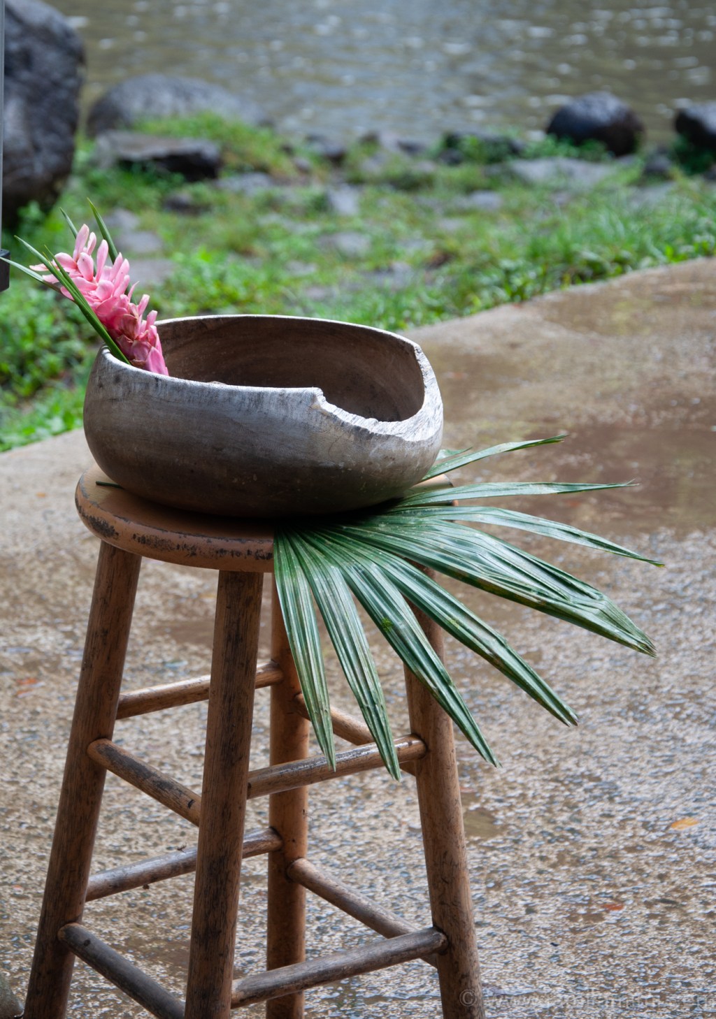 Flowers for you – Wordless&nbsp;Wednesday